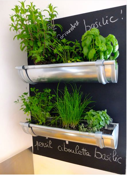 Gutters repurposed for herbs in the kitchen. Image found on www.1001gardens.org